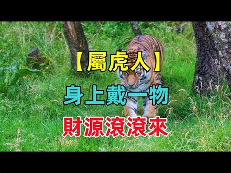 屬虎戴什麼|【屬虎適合戴什麼】屬虎必備！戴上旺運轉吉的幸運聖物！